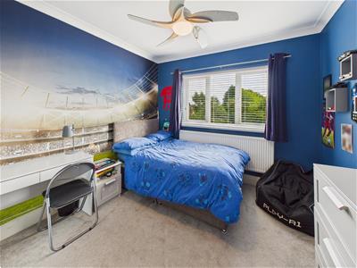 Picture 12